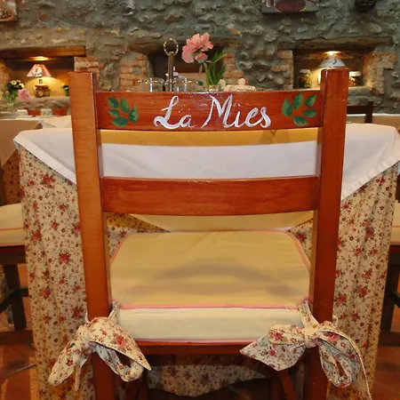 La Mies Noja