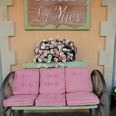 La Mies Noja