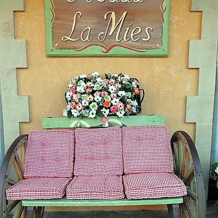 Hotel La Mies 3*