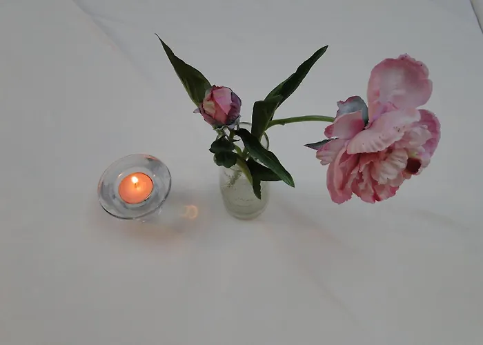 Отель La Mies Ноха