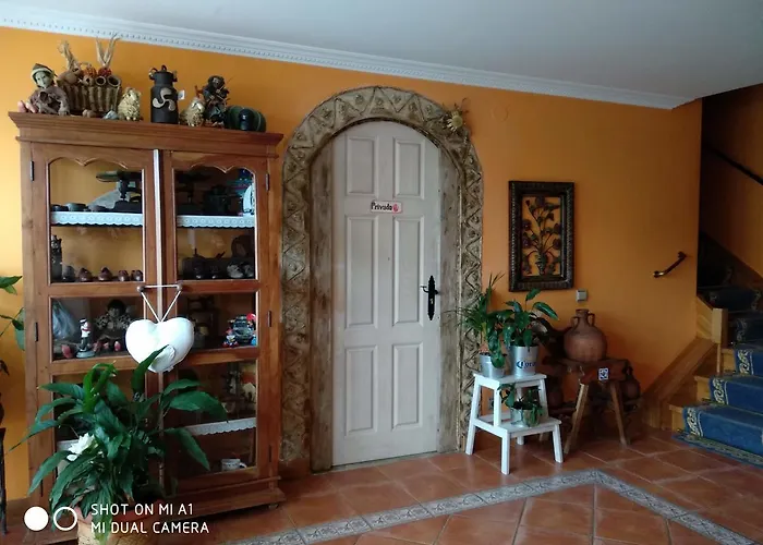 Отель La Mies 3*